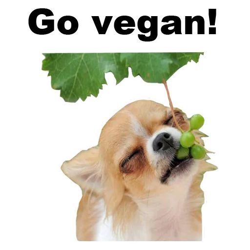 🍇 Стикер «Псы» для Telegram