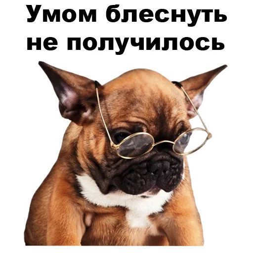 ☹ Стикер «Псы» для Telegram
