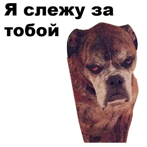 😠 Стикер «Псы» для Telegram