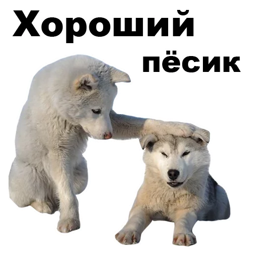 👏 Стикер «Псы» для Telegram