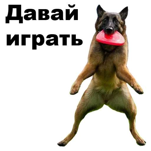 🙃 Стикер «Псы» для Telegram