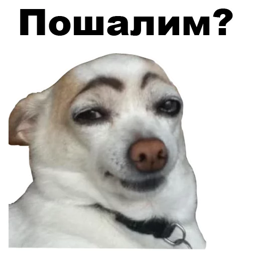 😊 Стикер «Псы» для Telegram