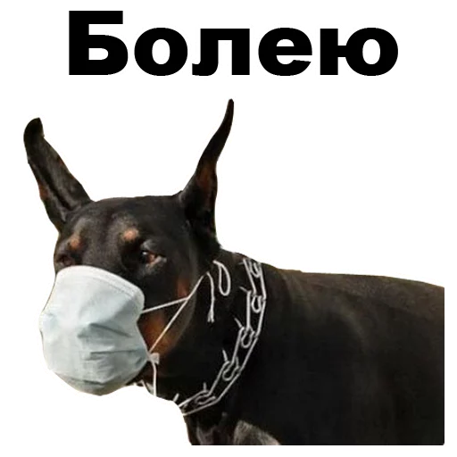 🤧 Стикер «Псы» для Telegram