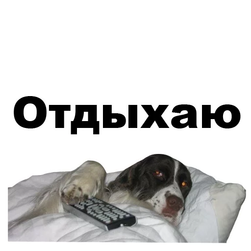 🛏 Стикер «Псы» для Telegram