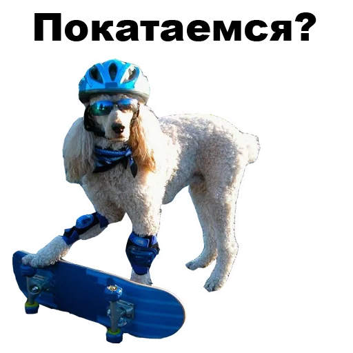 🏂 Стикер «Псы» для Telegram
