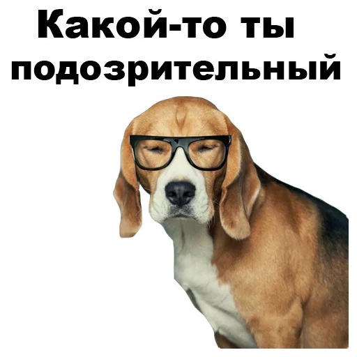 😒 Стикер «Псы» для Telegram