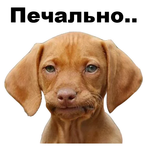 😪 Стикер «Псы» для Telegram