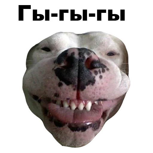 🙃 Стикер «Псы» для Telegram
