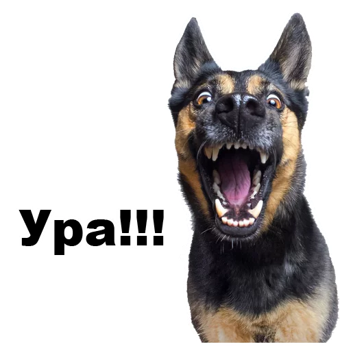 😋 Стикер «Псы» для Telegram