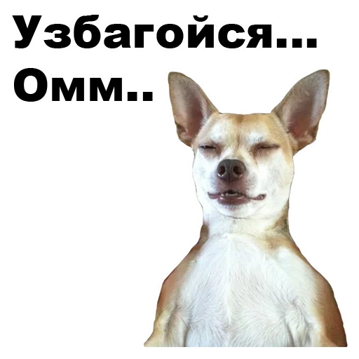 ☝ Стикер «Псы» для Telegram