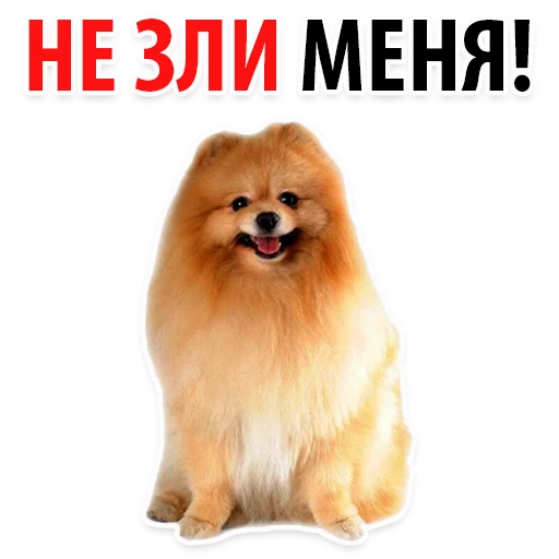 😡 Стикер «?Собачий Слэнг» для Telegram