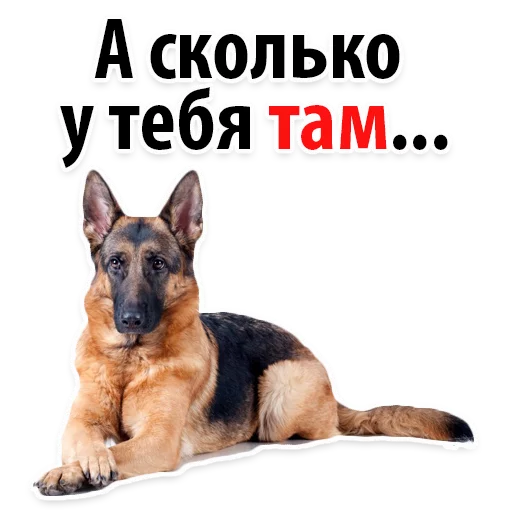 😁 Стикер «?Собачий Слэнг» для Telegram