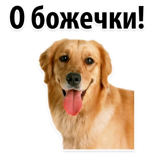 😌 Стикер «?Собачий Слэнг» для Telegram