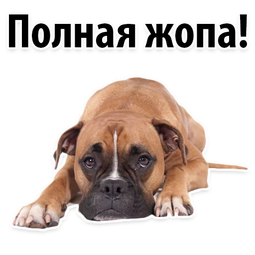 😭 Стикер «?Собачий Слэнг» для Telegram
