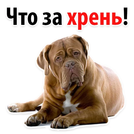 😒 Стикер «?Собачий Слэнг» для Telegram