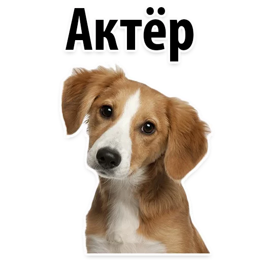 😕 Стикер «?Собачий Слэнг» для Telegram
