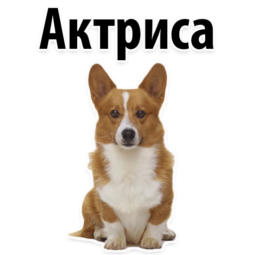😋 Стикер «?Собачий Слэнг» для Telegram