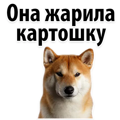 ☄️ Стикер «?Собачий Слэнг» для Telegram