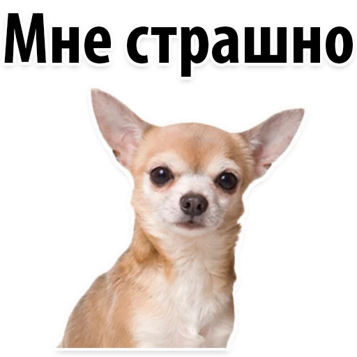 🐔 Стикер «?Собачий Слэнг» для Telegram