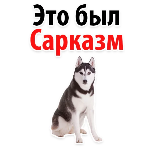 😿 Стикер «?Собачий Слэнг» для Telegram