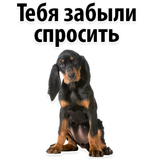 😔 Стикер «?Собачий Слэнг» для Telegram