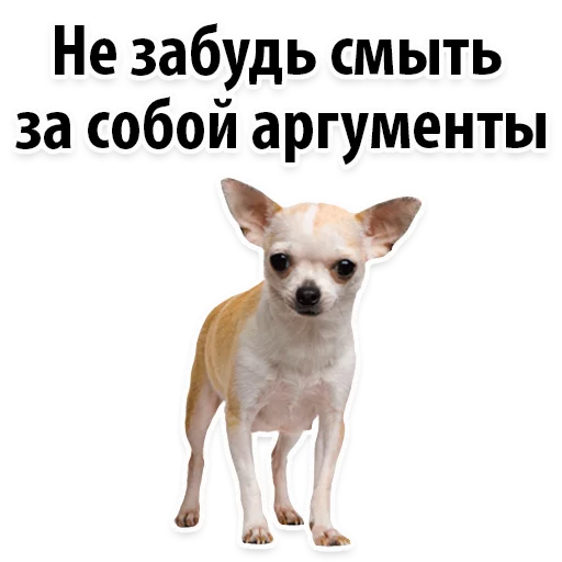 🤧 Стикер «?Собачий Слэнг» для Telegram