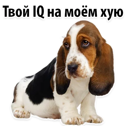 ☠️ Стикер «?Собачий Слэнг» для Telegram