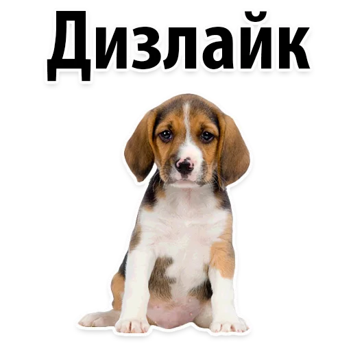 😑 Стикер «?Собачий Слэнг» для Telegram