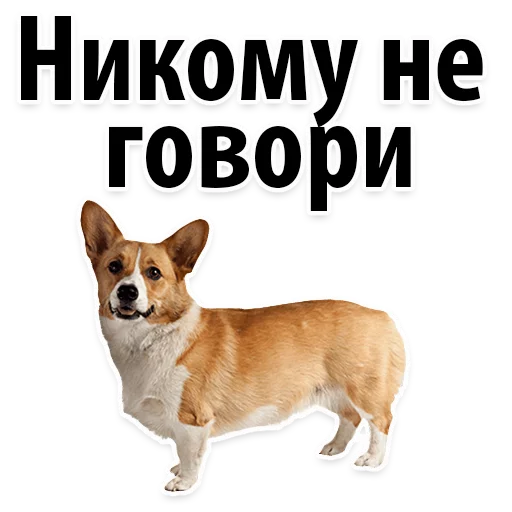 😏 Стикер «?Собачий Слэнг» для Telegram