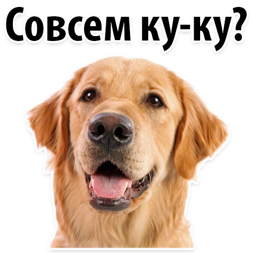 🤫 Стикер «?Собачий Слэнг» для Telegram