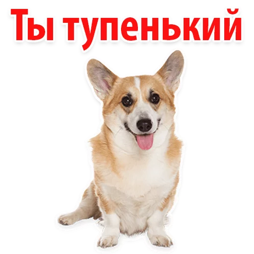 🐸 Стикер «?Собачий Слэнг» для Telegram