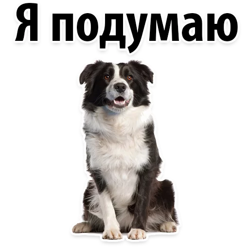 😋 Стикер «?Собачий Слэнг» для Telegram