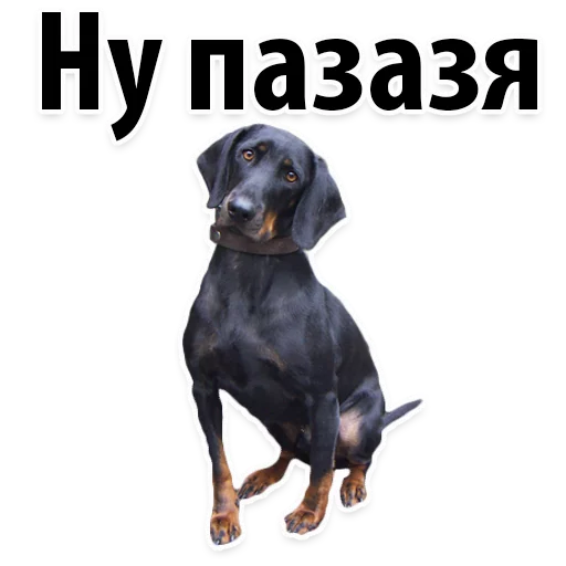🤡 Стикер «?Собачий Слэнг» для Telegram
