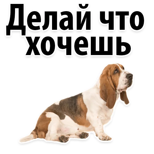 ☹️ Стикер «?Собачий Слэнг» для Telegram
