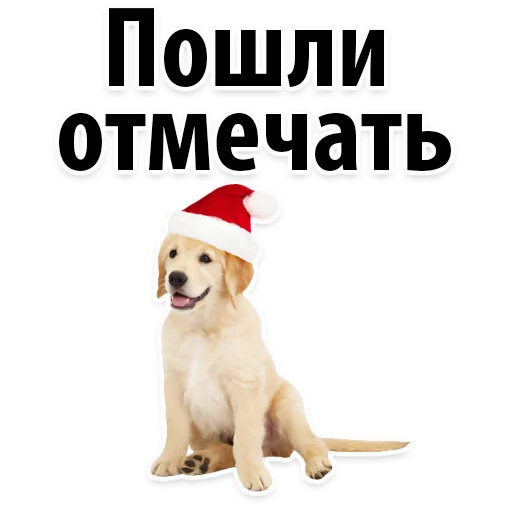 🥂 Стикер «?Собачий Слэнг» для Telegram