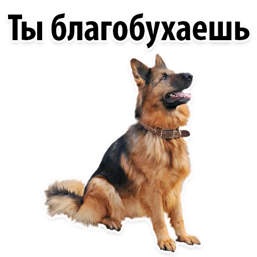 🍷 Стикер «?Собачий Слэнг» для Telegram