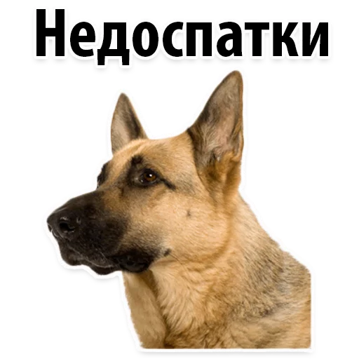 😔 Стикер «?Собачий Слэнг» для Telegram
