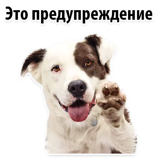 😐 Стикер «?Собачий Слэнг» для Telegram
