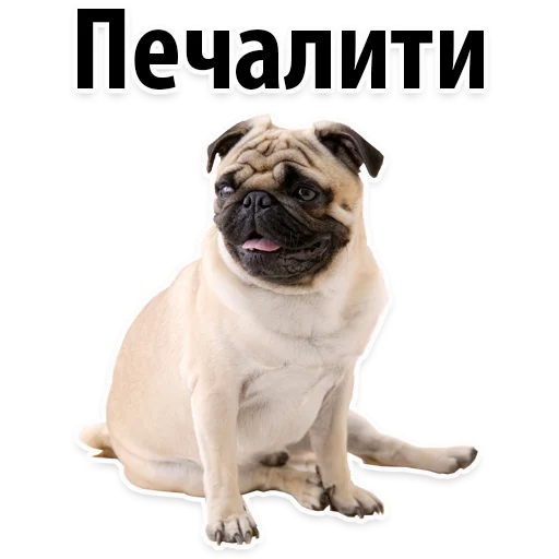 😒 Стикер «?Собачий Слэнг» для Telegram