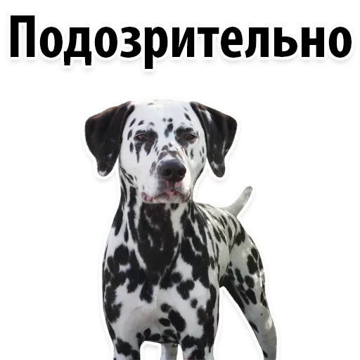 😒 Стикер «?Собачий Слэнг» для Telegram