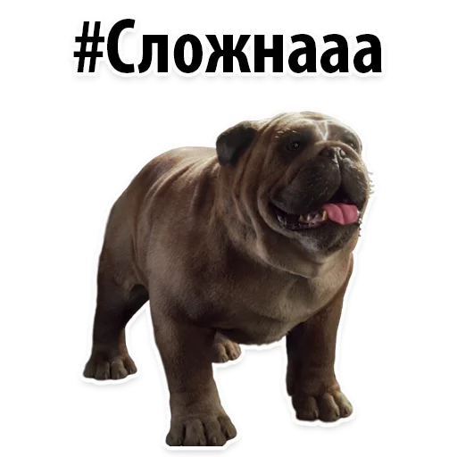 😕 Стикер «?Собачий Слэнг» для Telegram
