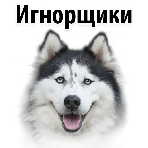 😒 Стикер «?Собачий Слэнг» для Telegram