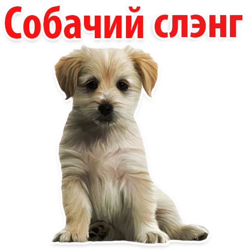 👍 Стикер «?Собачий Слэнг» для Telegram