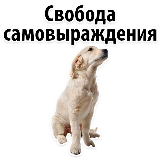 😊 Стикер «?Собачий Слэнг» для Telegram