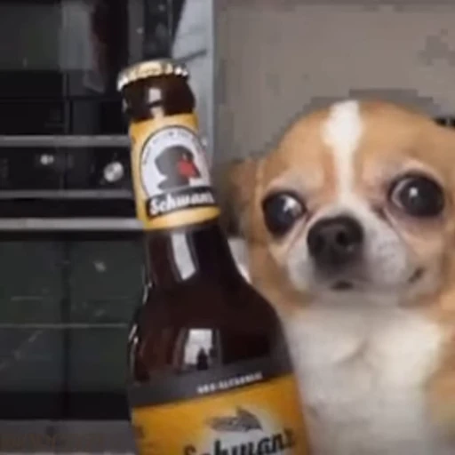 🐶 Стикер «Dogs Собаки» для Telegram