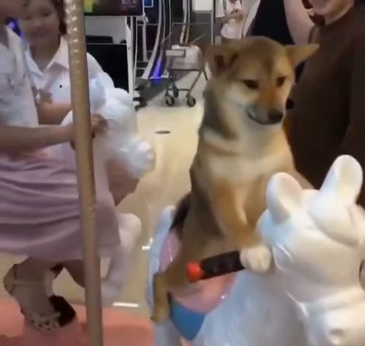 🎠 Стикер «Dogs Собаки» для Telegram