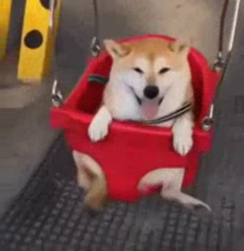 😆 Стикер «Dogs Собаки» для Telegram