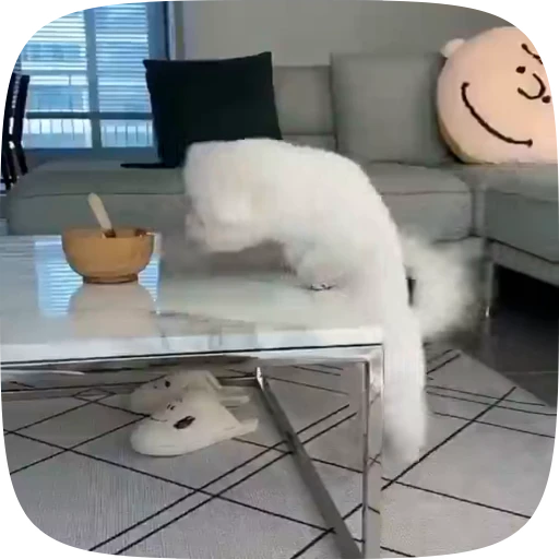 🐶 Стикер «Dogs Videostickers» для Telegram