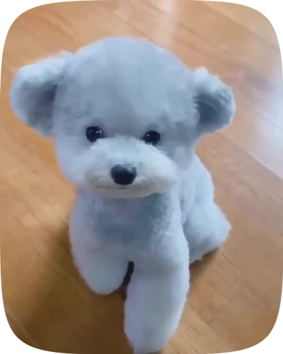 🐶 Стикер «Dogs Videostickers» для Telegram