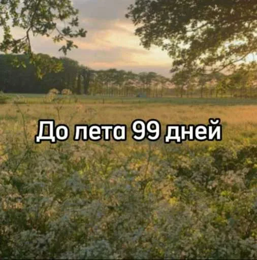 ☀️ Стикер «До лета осталось» для Telegram